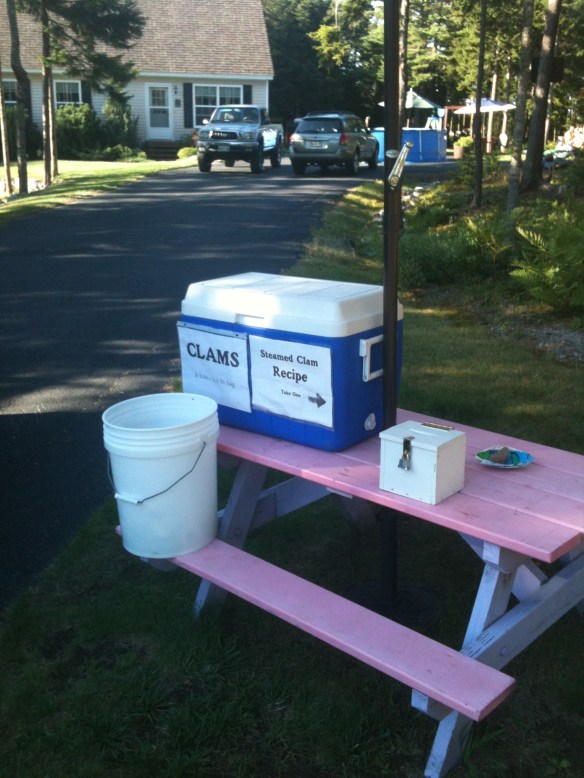 The steamers we purchased had been dug up that morning!