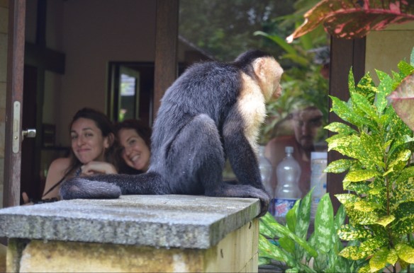 photo by Debbie Padnuk